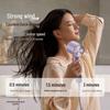 Laifen Swift 4 High-Speed Hair Dryer CN plug (adapter included)