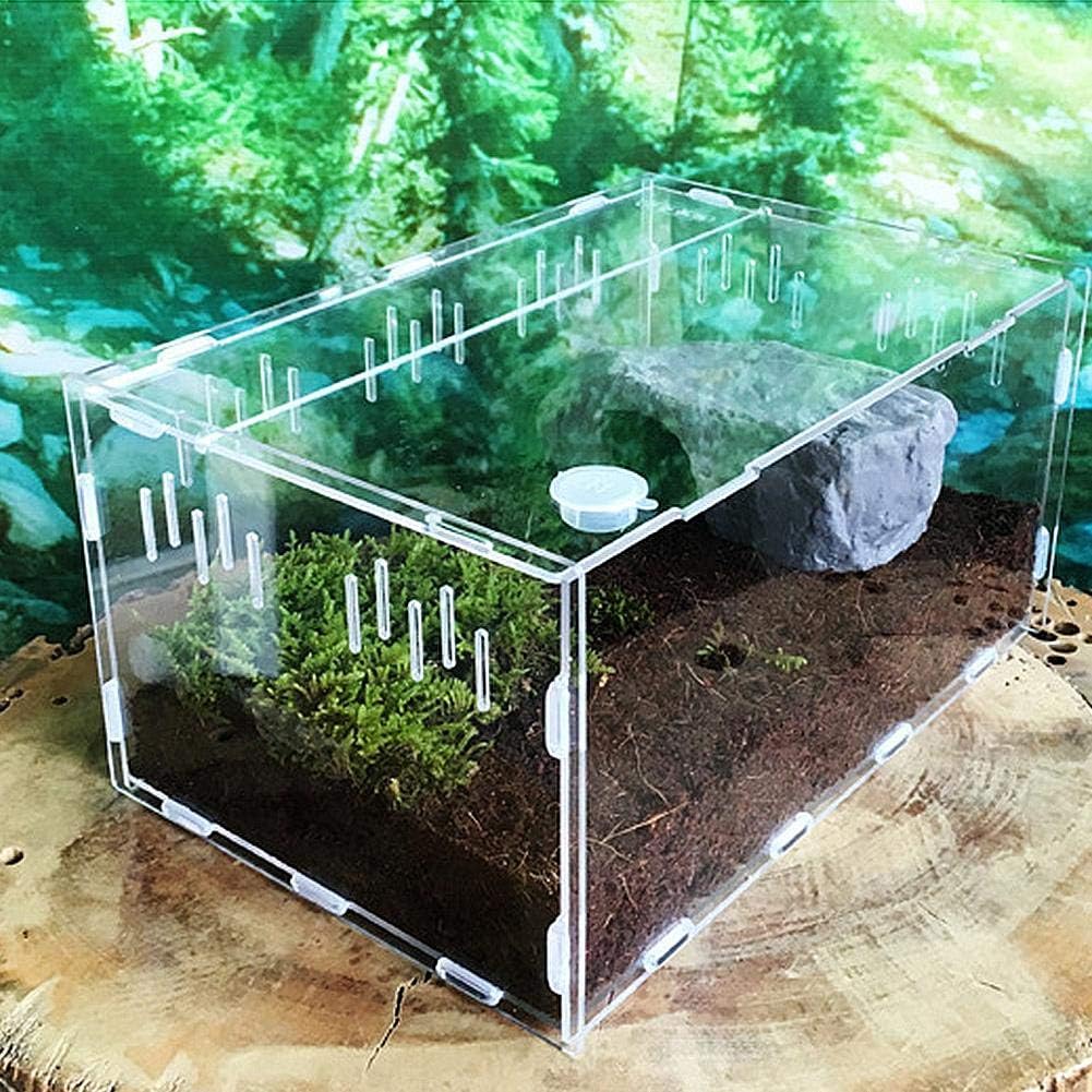 Akrylowe Terrarium Pojemnik dla Reptilii z Otworami Wentylacyjnymi Łatwe do Czyszczenia i Utrzymania Magnetyczne