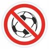 Information Sticker - No Ball Games 20