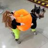 Psí oblečení Halloween Vtipný mazlíček Dýňový kostým Pet Cosplay Oblečení pro speciální události Obleček Psí roztomilé kostýmy