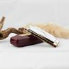 Mundharmonika 10 Löcher C-Ton Klar Stabiler Klang Mundorgel Exquisite Schöne Harmonica C