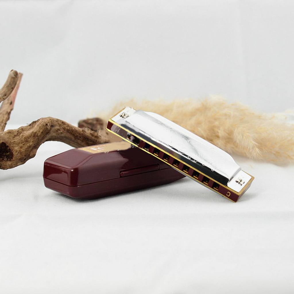 Mundharmonika 10 Löcher C-Ton Klar Stabiler Klang Mundorgel Exquisite Schöne Harmonica C