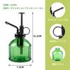 SinRenn Glass Watering Can, 250ml, for Houseplants, Gardening, Cleaning, Ultra-Fine Mist, Home Decor, Plants, Gift, Glass Liquid Spray Bottle,