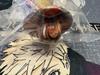 [USED] Secret Luffy's One Piece LUFFY's