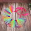 Pet Clothes Dog Gauze Skirt Rainbow Color Dress with 1Pcs Party Tutu