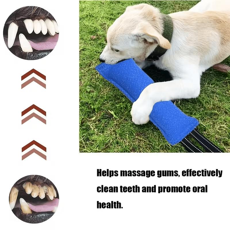 Langlebiges Hund Tau Ziehspielzeug Bissspielzeug Für Kleine Mittlere Hunde Welpentraining Kauen