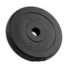 Bituminous Load Set 4X2.5Kg 10Kg Hole 31Mm Classic Plate Rebel
