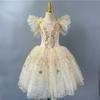 Rochie Lungă de Balet pentru Copii Fete Bej Dantelă Lebădă Paiete Rochie de Prințesă Adulți Femei Dans Modern Costum de Scenă