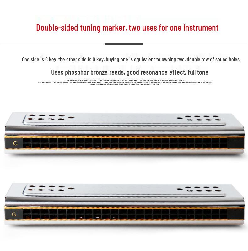 Swan 24-Hole Dual-Key Double-Sided Diatonic Harmonica for Beginners