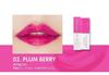 Berrisom My Lip Tint Pack 15g #02 Plum Berry