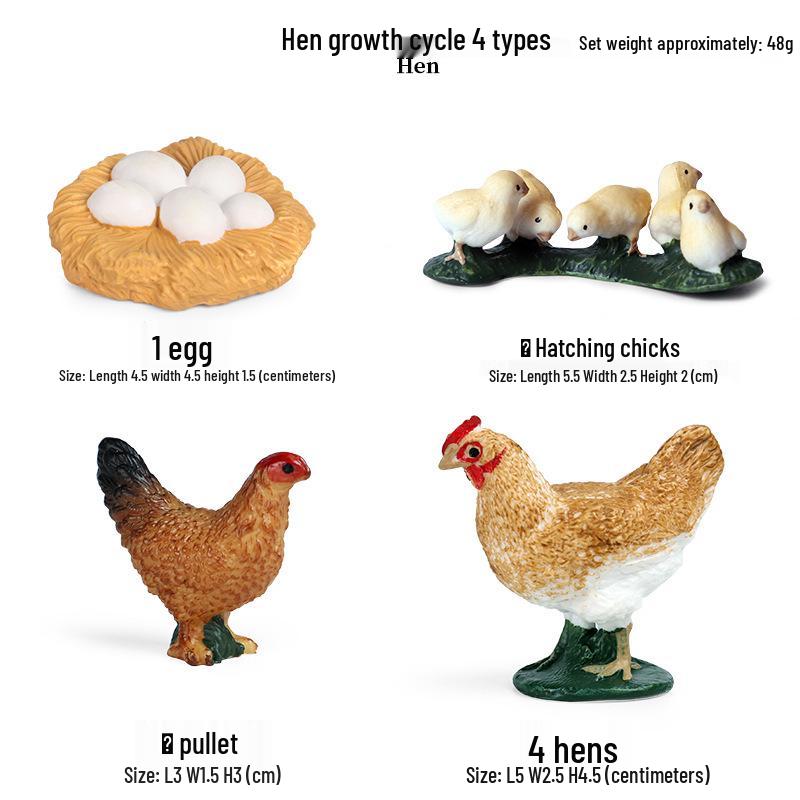 Children's Cognitive Toys: Frog Tadpole Growth Cycle Models
