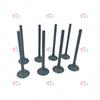 1007012XED95 1007011XED95 16Pcs car Intake Valve and Exhaust Valves Set Fit For GREAT WALL GWM POER Wingle 7 GW4D20M Diesel
