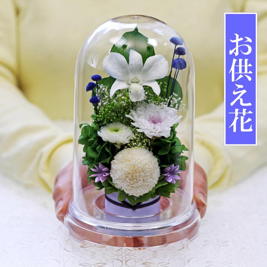 Art for Seasons Offering Mum Dome Preserved Flowers (White with Clear Base)
