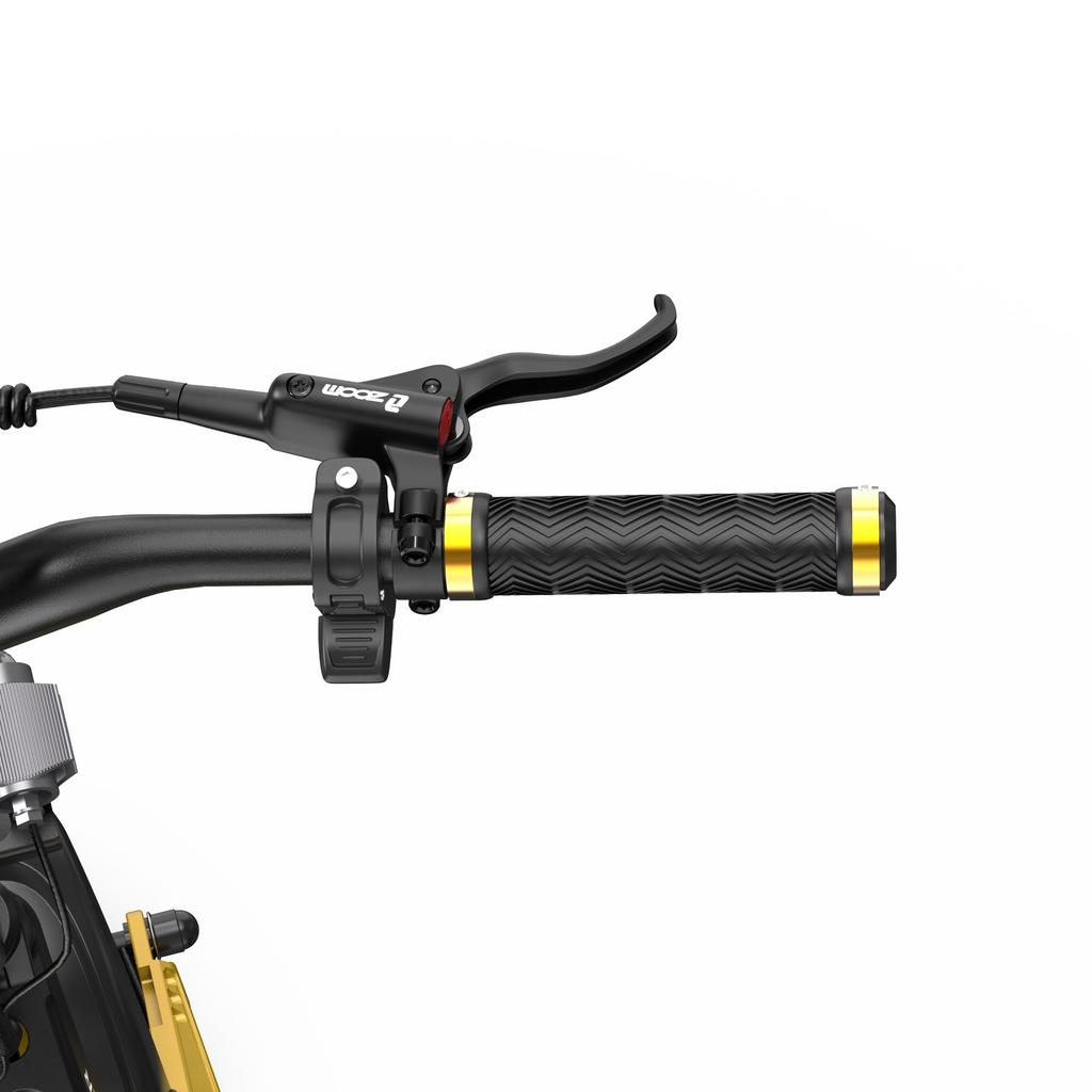 Electric Scooter Foldable OOTD 10" 1200Wx2 Dual Motor 23.4AH Max Range 60Km Load 120Kg Black S30