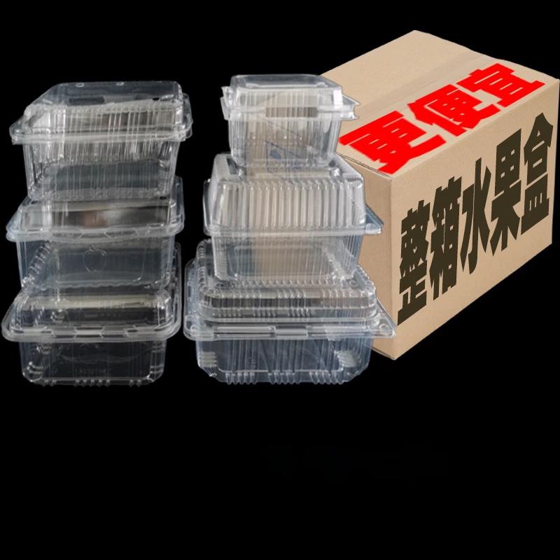 Disposable Transparent Food Container with Lid