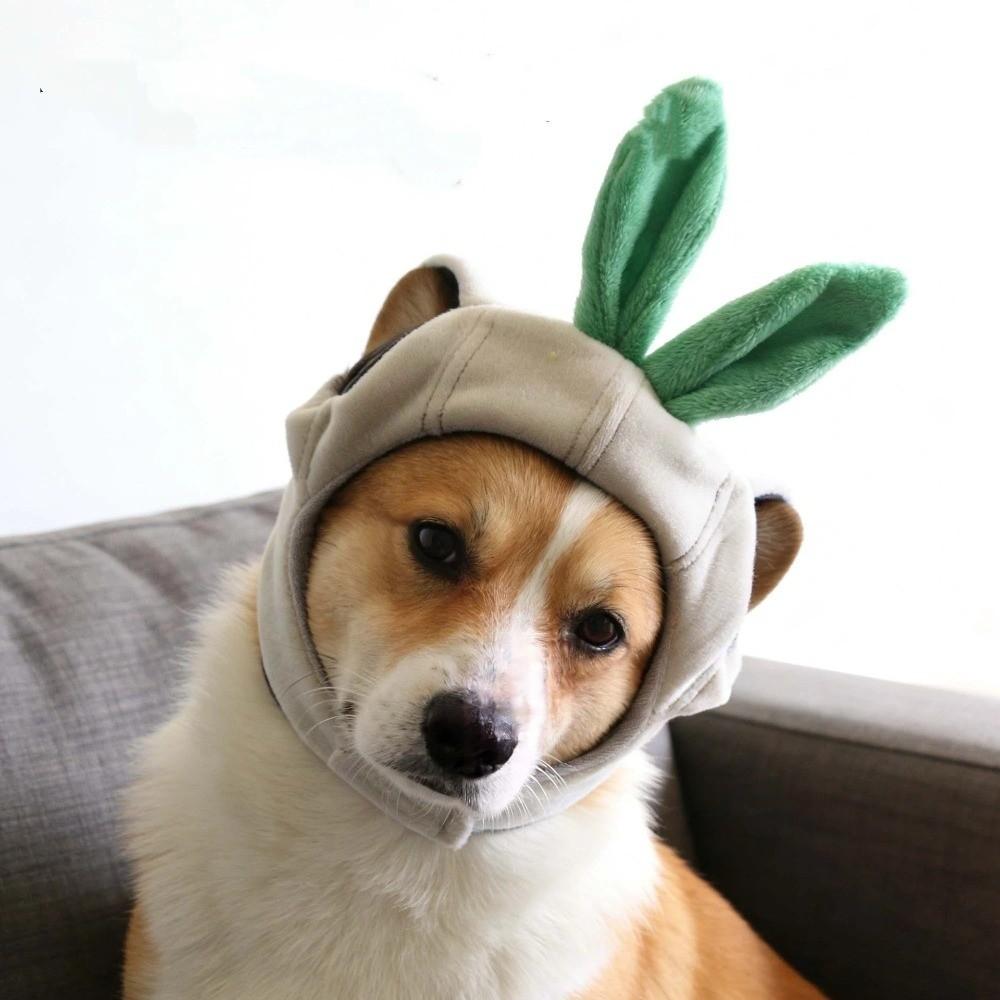 Funny Pet Garlic Hat Cartoon Dog Headdress Pet Costume Pet Headgear  Birthday Party