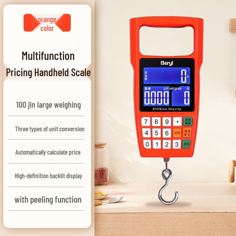 

BERYL Portable Digital Hanging Scale (CN version)
