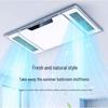 Shengbey AI Voice Dual Airflow Bathroom Heater