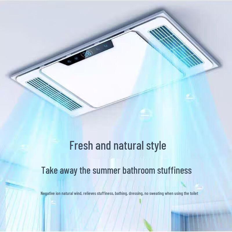 Shengbey AI Voice Dual Airflow Bathroom Heater