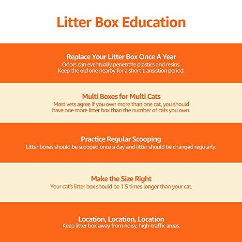 Amazon Basics Cat Litter Box with Hood, 53 X 41 X 38 Cm, Standard, Multicolor