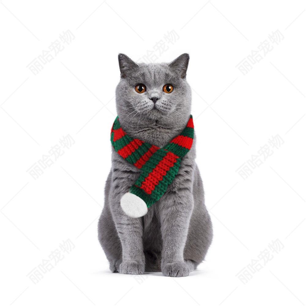 Sciarpa Natalizia Creativa Lavorata a Maglia per Gatti e Cani - Accessori Festivi per Animali Domestici per il Nuovo Anno