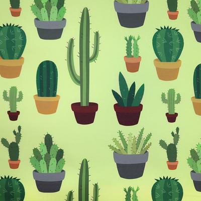 Outdoor Decorative Fabrics Oxford With Motif Cacti I Dr003