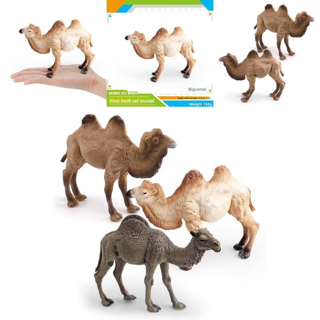 Desert Animal Pvc Figurine Twin Hump Camel Static Decor For Children Learning Play