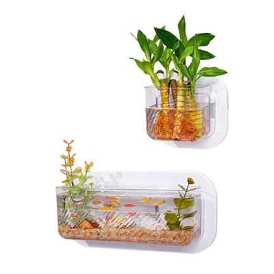 Transparents Fishes Tanks Hydroponic Planter Wall Mounted Fish Tanks Container for Hydroponic Plant and Decoration