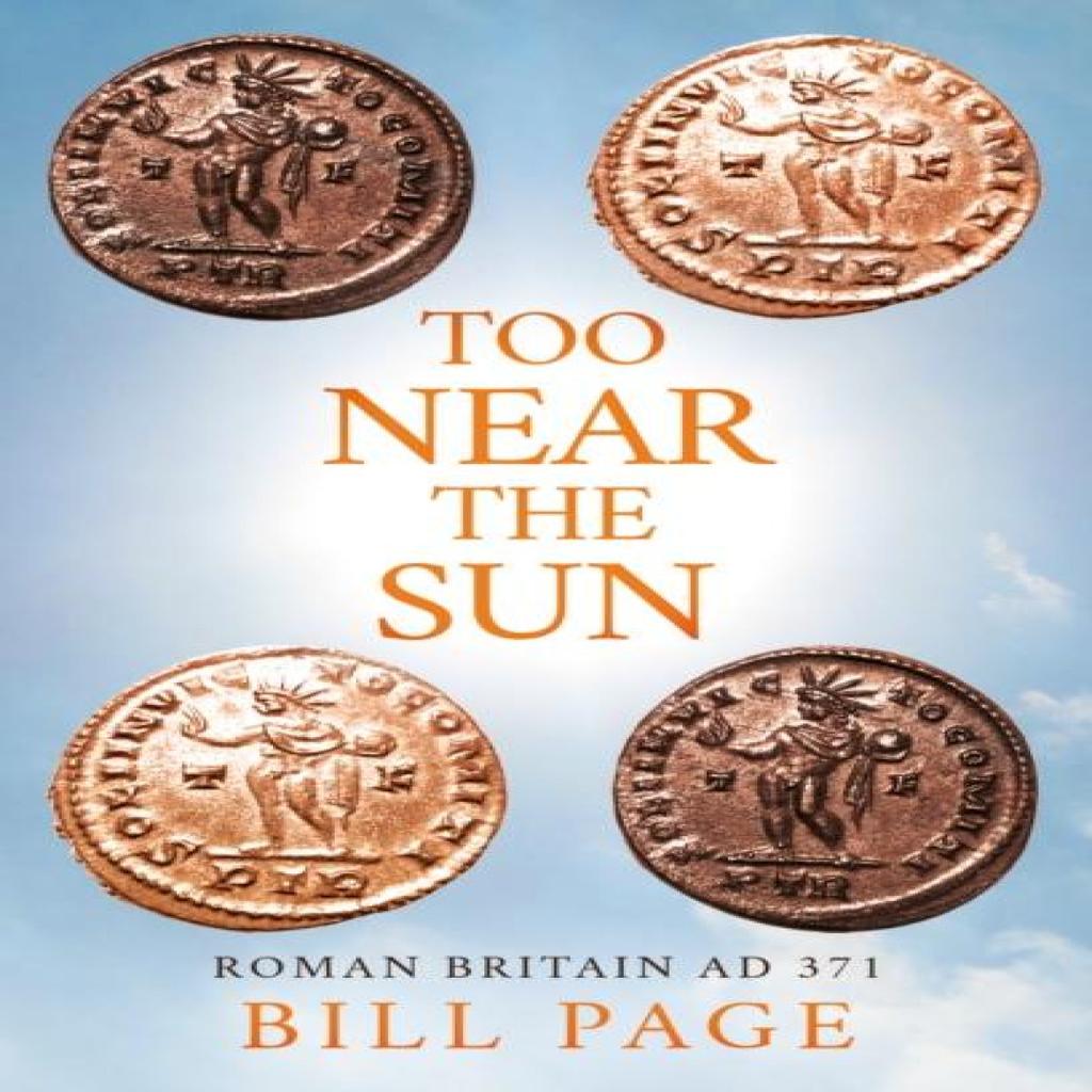 Too Near the Sun by Bill Page Paperback Book 9781806340958