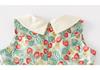 Summer 2025 Princess Dress for Girls - Baby Doll Collar Skirt