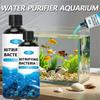 Vissen en zeedieren – Aquarium onderhoud