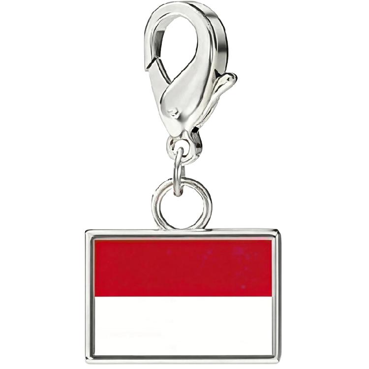 Stainless Steel Country Flag Bracelet Pendant Hand Chain Charm Travel Wristlet Keychain with Lobster Clasp and Small Profile