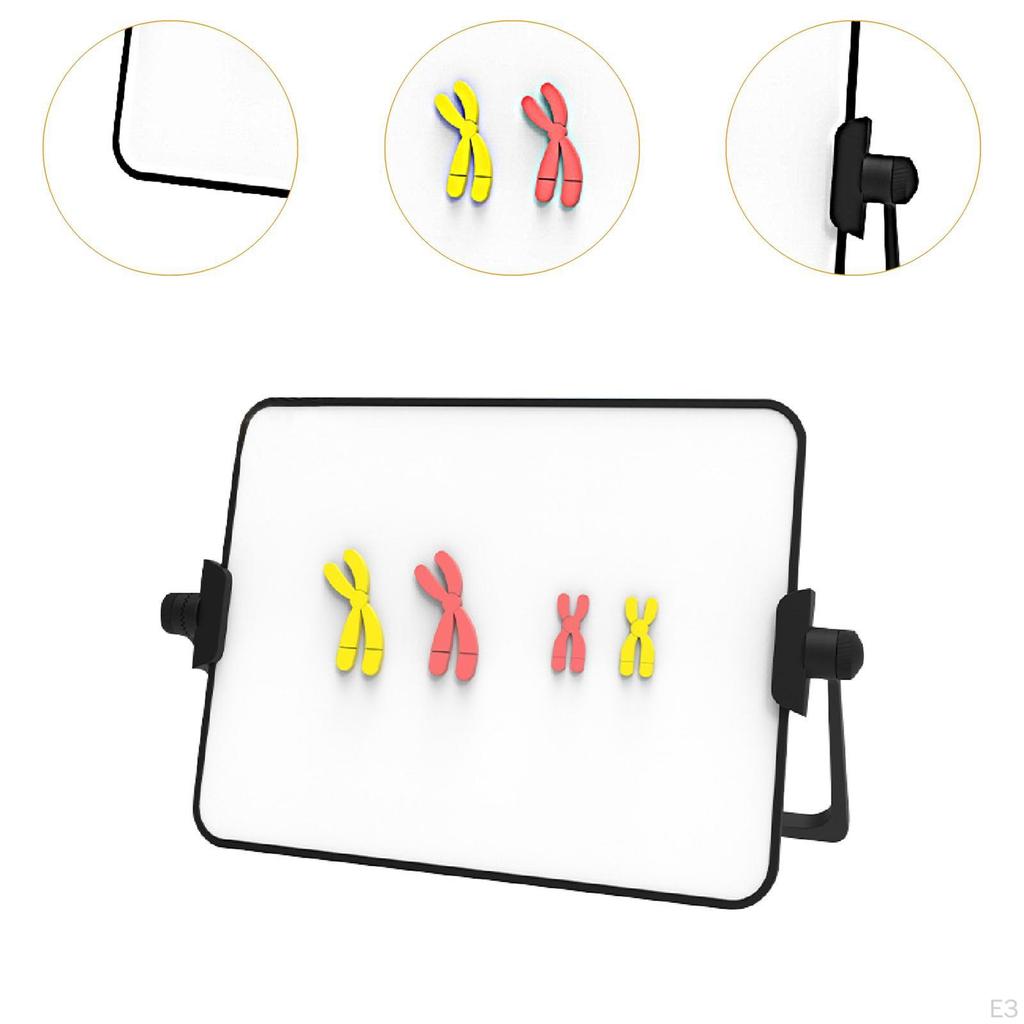 Chromosome Model Kit Educational Learning Tool Reusable Demonstration Instrument Easy to