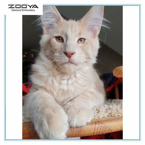 

ZOOYA DIY 5D Полный дрель Алмазная картина Кошка Животное Вышивка Крестом Мозаика Домашний Декор Подарок