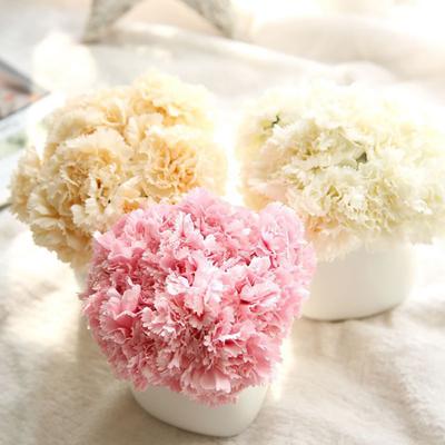 1 Bouquet Artificial Carnation Special Portable DIY Cute Photography Props Fake Flower Bouquet Home Decor