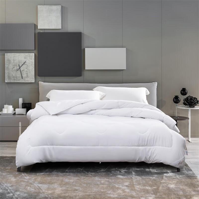 Mercury Home Textiles Anti-bacterial All-Season Quilt