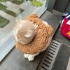 Plush Anti-Bite Surgery Wound Collar Cat Recovery Collar Neck Protective Cone Elizabeth Collar