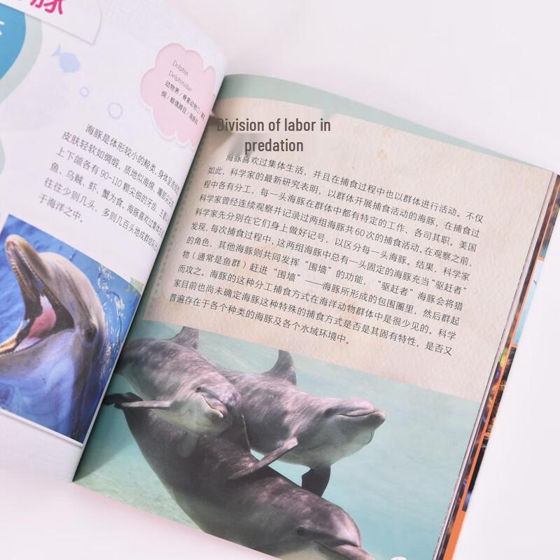 Curious Oceanarium: Cunning Ocean Hunter Book