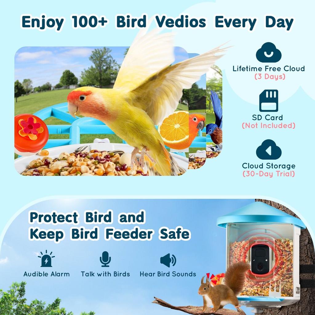 Smart Bird Feeder with Camera AI Identify 10000+ Bird Specie Solar-Powered