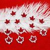 10pcs Red Maple Leaf Mini Embroidered Patches | Set for DIY Decor | On Jackets, Clothing, Backpacks, Hats, and Shoes