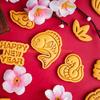 KX4B 2025 Snake Cookie Molds Set Fondant Cutter Plastic Texture Baking Tool