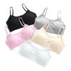Sports Half Junior with Set of 5 [FARFADET] Bra, Top, Bra, Cups, Innerwear, (Plain)