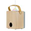 MusicMate MM-SK100 Apex Flex Karaoke Set