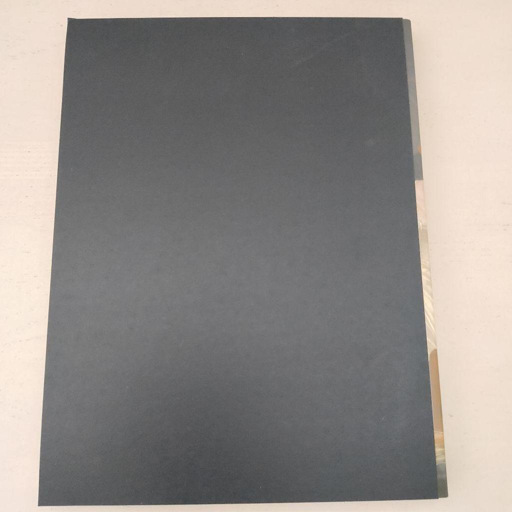 [USED] Scary Paintings Exhibition Catalog 2017 Catalog Art Art Book Art Book