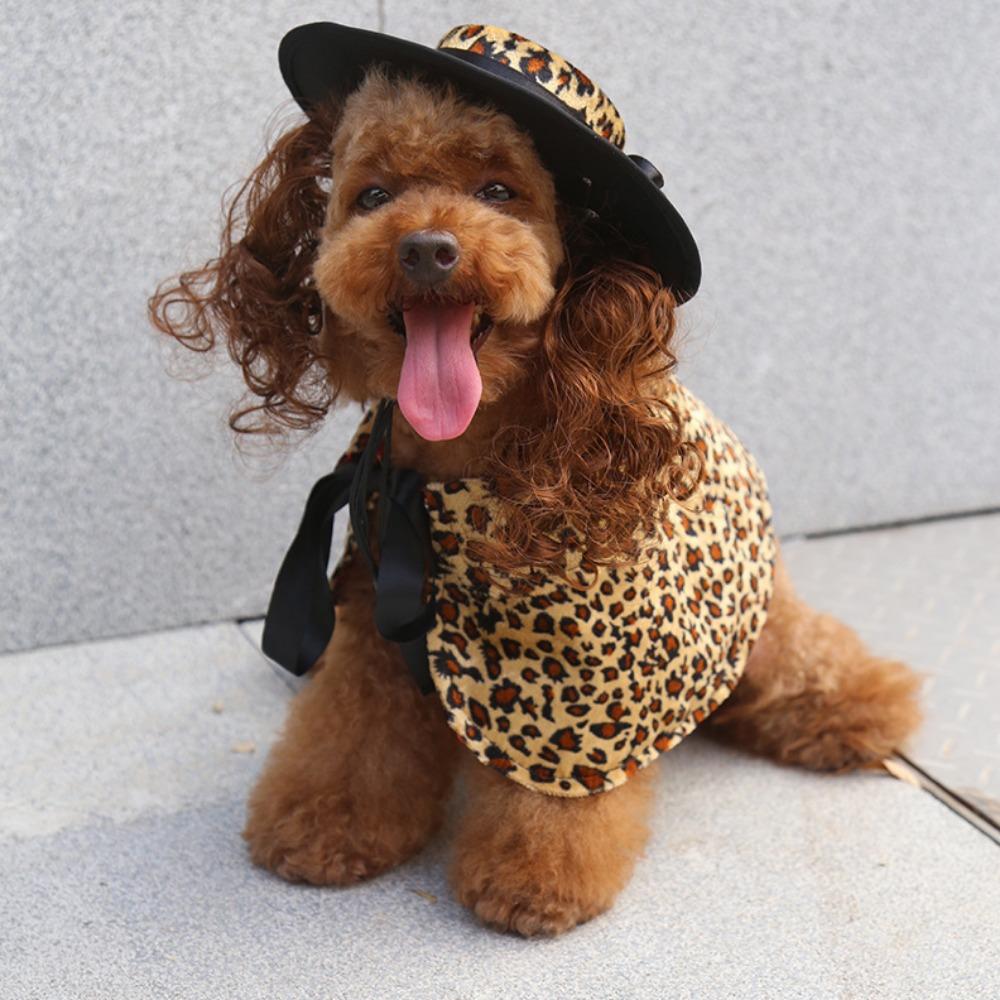 Dog clothes turned funny pet supplies cross-border hat cape set pet halloween costume