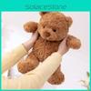 Adorable Bear Teddy Plush Toy With Capybara Companion Cute Animal Gift Perfect