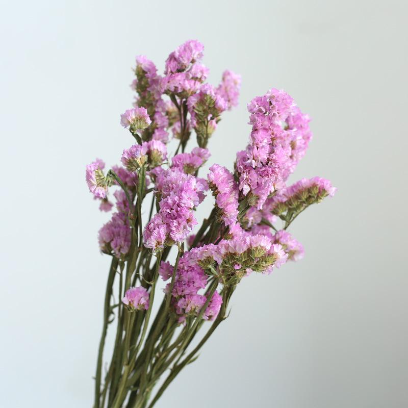 Yunnan Dried & Immortal Flowers Bouquet: Baby's Breath, Roses, Forget-Me-Nots for Home & Homestay Decor