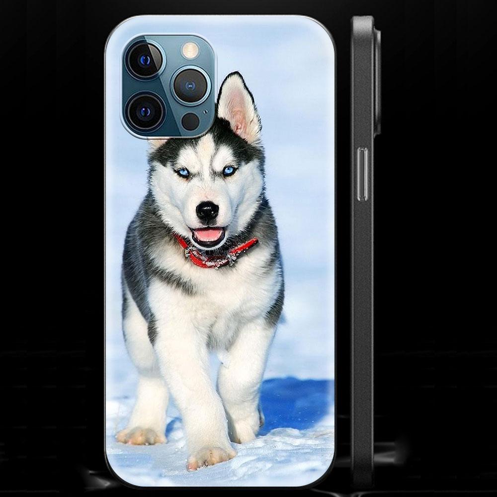 Alaskan Husky Dog Cute Puppy Luxury Phone Case For iPhone 13 15 14 12 11 Pro MAX XR X SE XS 7 8 Plus Silicone Black Matte Cover