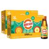 Vita500 Fresh 100ml 20 Stück