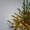 Small Christmas Tree PVC Home Christmas Party Atmosphere Mini Xmas Tree with LED Lights Home Atmosphere Decoration 45cm/60cm